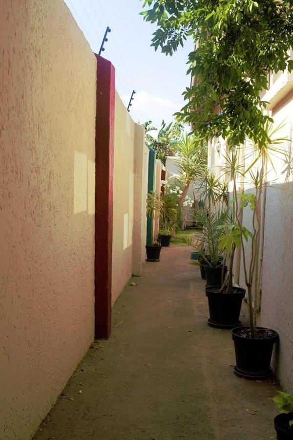 Houghton Guest House Johannesburg Kültér fotó